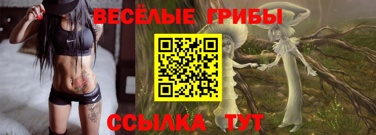 Туапсе  Псилоцибиновые грибы Psilocybe  купить   Псилоцибиновые грибы GOLDEN TEACHER  Вход с VPN 